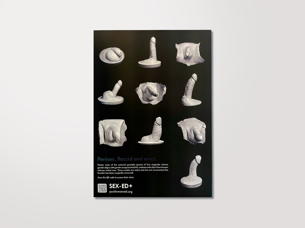 Plakat: Penis Vielfalt